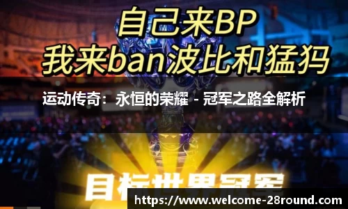 28圈