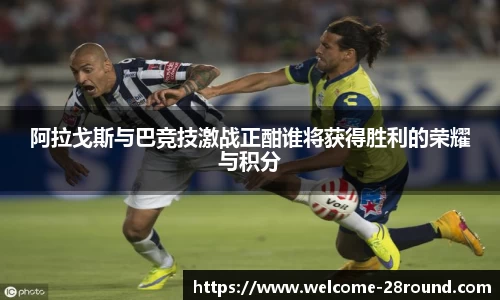 28圈官方网站